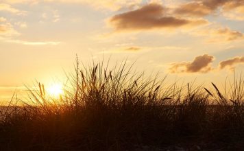Rundum sorglos im Ferienhaus in Dänemark